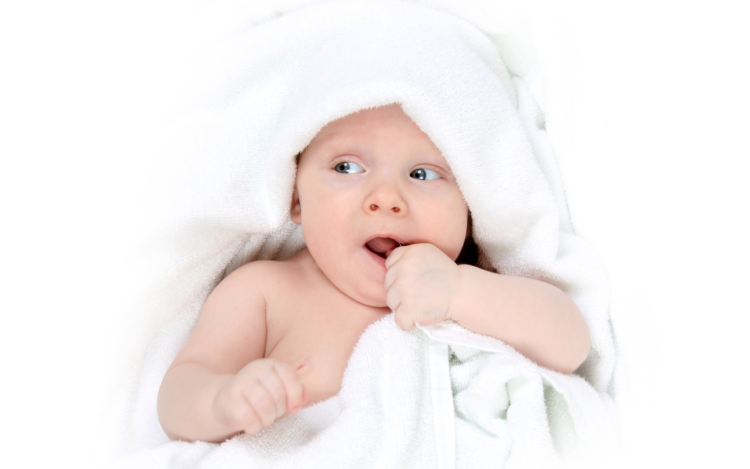 赣州助孕公司机构2014年试管婴儿成功率